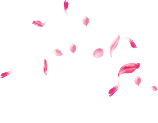 玫瑰花瓣