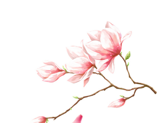 花瓣