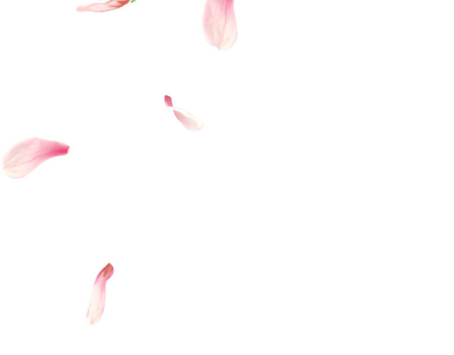 花瓣