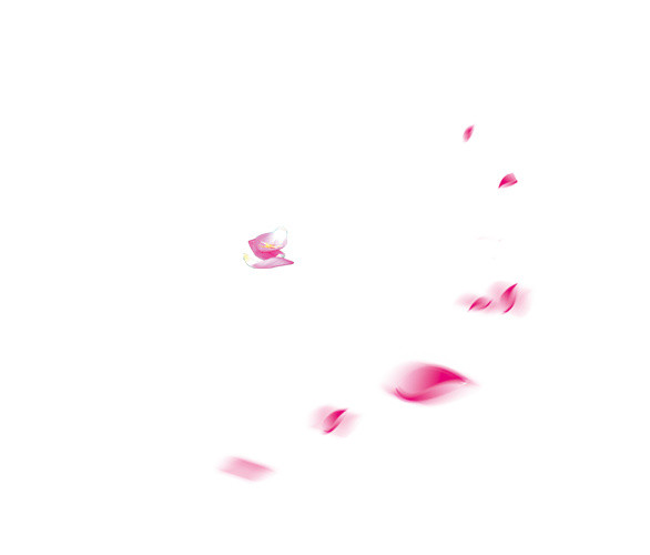 玫瑰花瓣