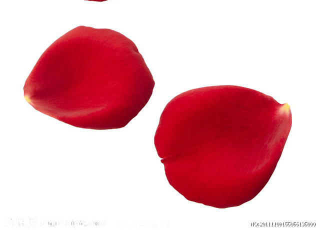 玫瑰花瓣