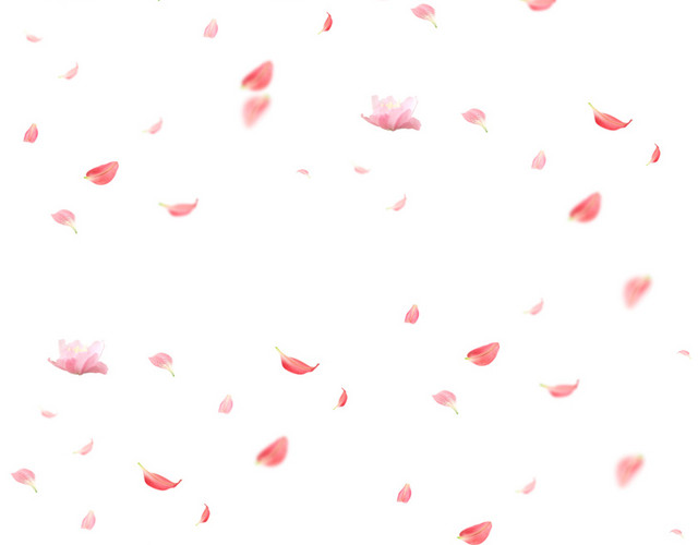 玫瑰花瓣