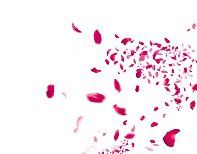 玫瑰花瓣