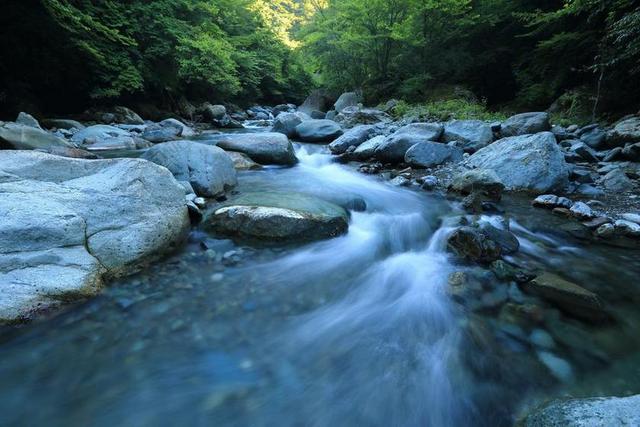 流 河 布鲁克 水 现场 岩 溪 景观 户外 野生 荒野