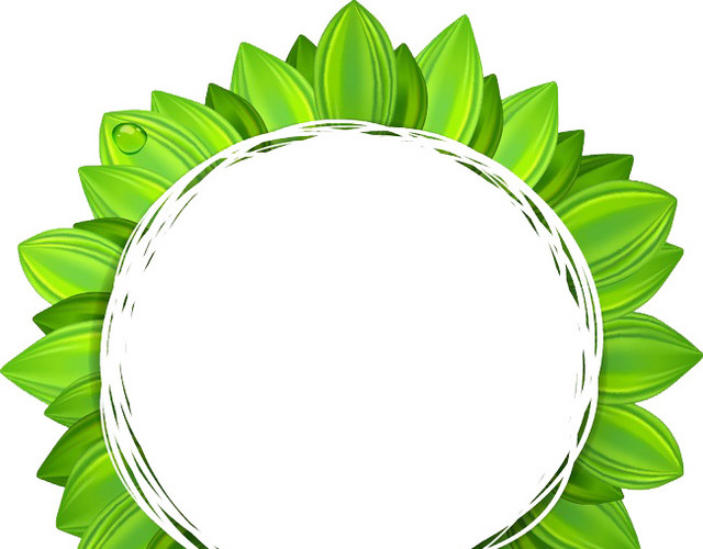 春天 树叶圈 绿色