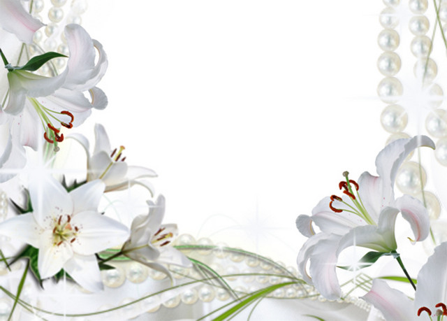 春天 树叶 小花 花草 花朵 花边 花圈 信纸