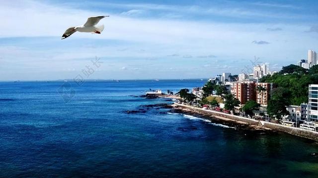 摄影唯美岸边城市和天空飞翔的海鸥背景图片