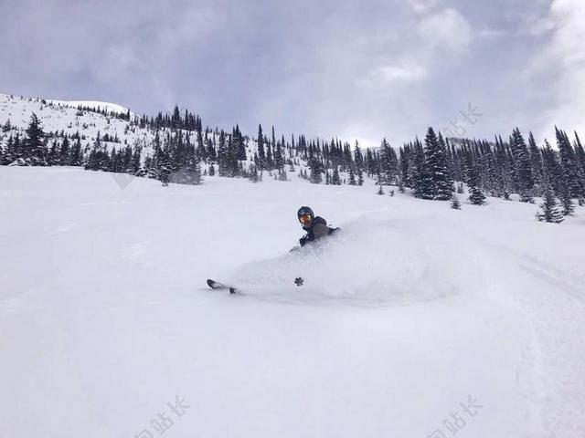 旅游清新加拿大户外滑雪背景图片