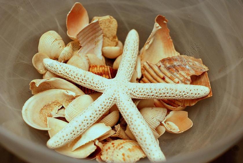 餐饮唯美晒干的海产品背景图片