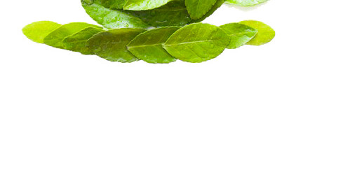 茶文化素材