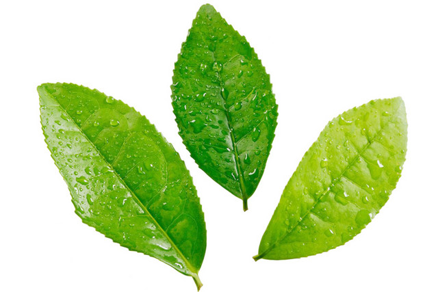 中国风茶文化素材