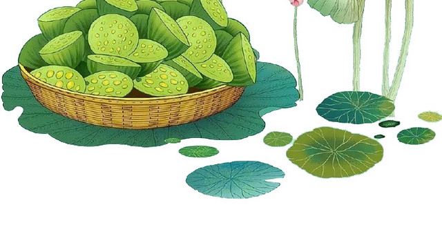 荷花