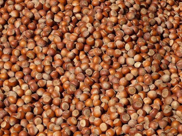坚果 榛子 壳 布朗 市场 食品 美味 有营养