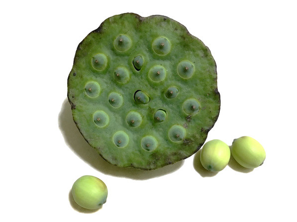 莲子