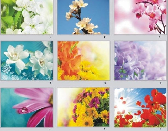 鲜花PPT模板