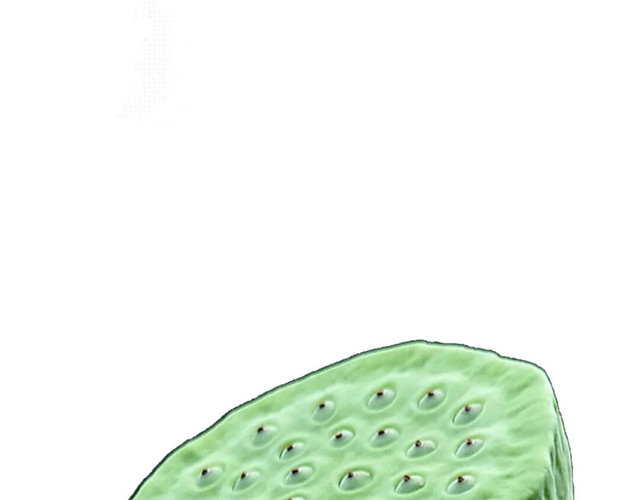 莲子