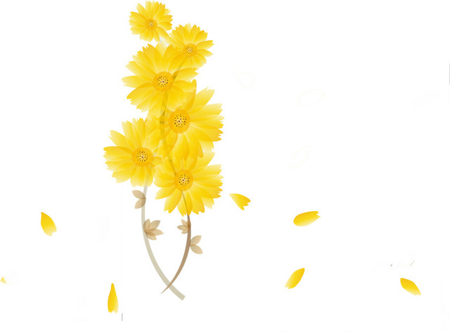 卡通菊花素材