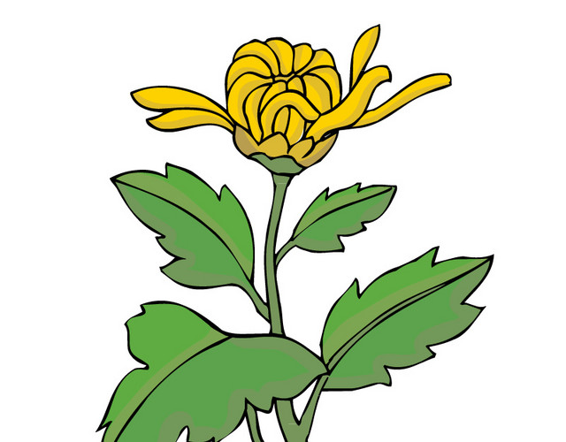 卡通菊花素材