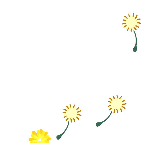 蒲公英