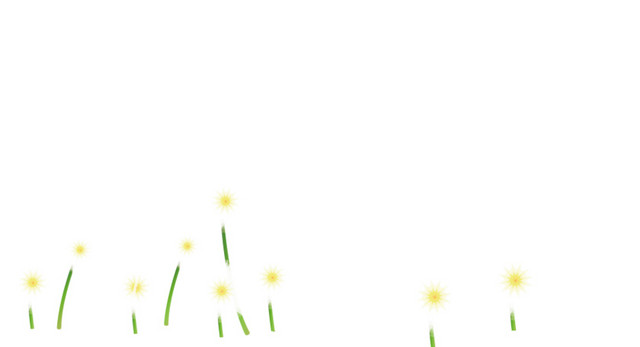小黄花