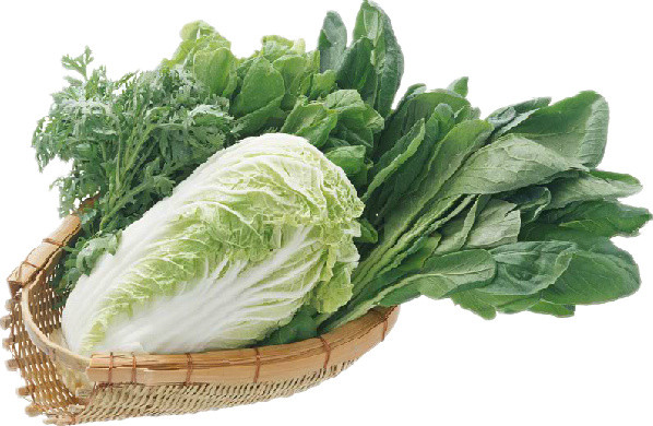 白菜油麦菜