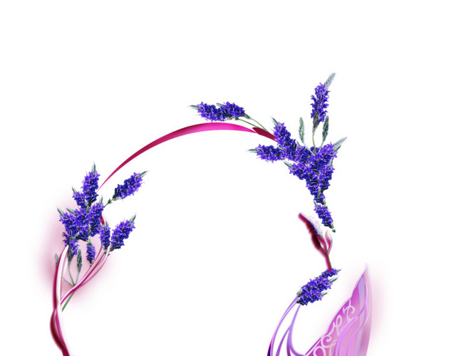 薰衣草花环