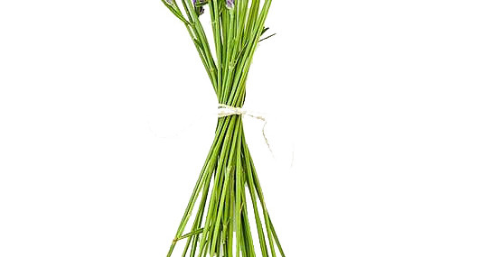 薰衣草