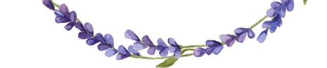 薰衣草花环