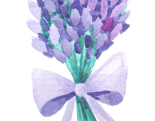 薰衣草花
