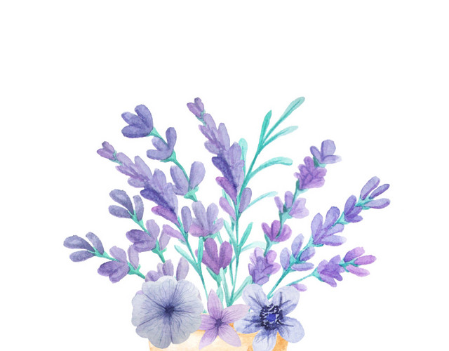 薰衣草