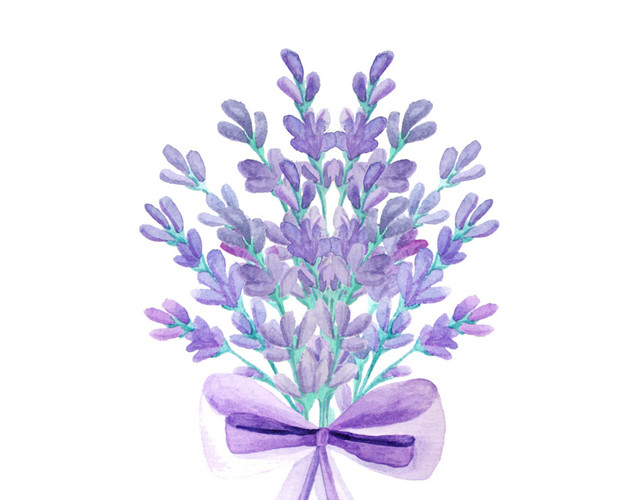 薰衣草花