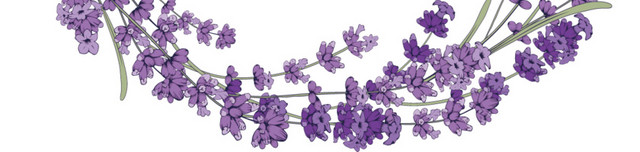 薰衣草花花环