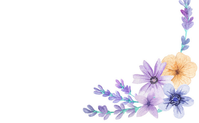薰衣草花边