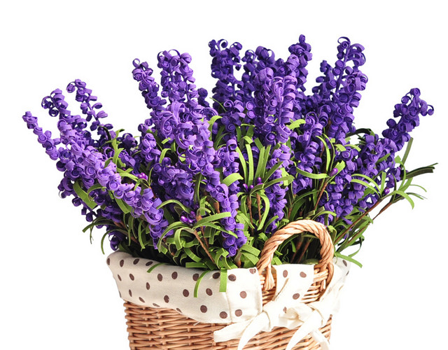 薰衣草花蓝