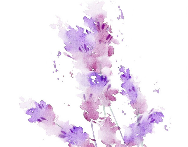 薰衣草花