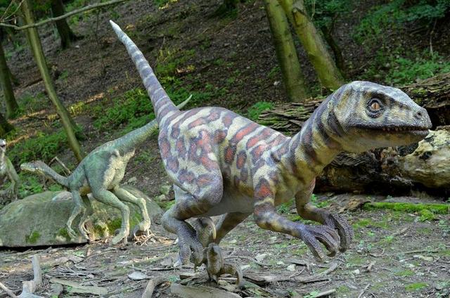 恐龙 DINOPARK 史前