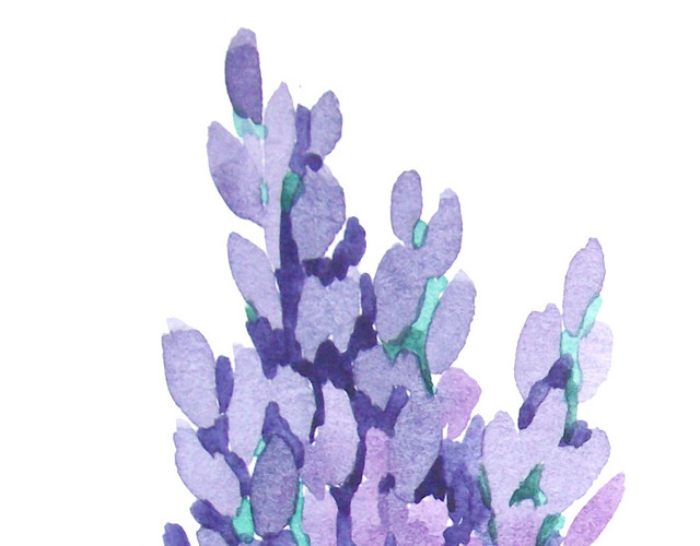 薰衣草花饰