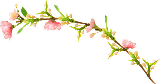 藤蔓花