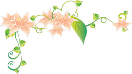 花边