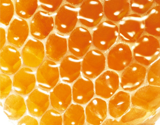 美味金色蜂巢矢量素材
