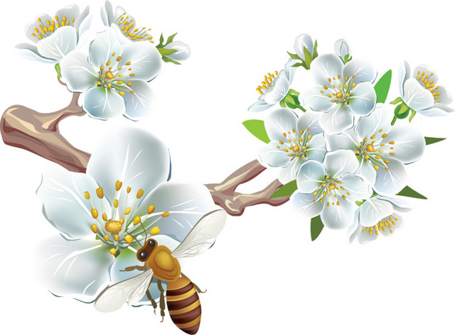蜜蜂采蜜矢量素材