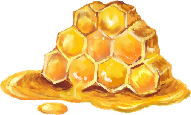 金色美味蜂蜜矢量素材