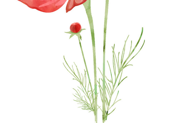 蜜蜂采蜜矢量素材