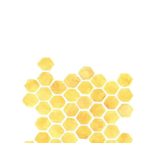 美味金色蜂蜜矢量素材