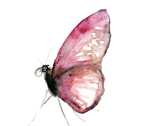 手绘蝴蝶