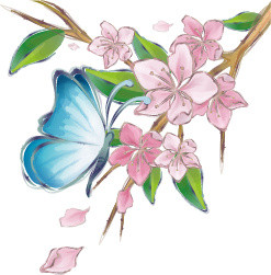 花与蝴蝶