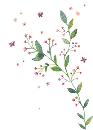 花丛飞舞的蝴蝶