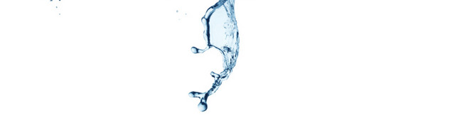 水元素蝴蝶