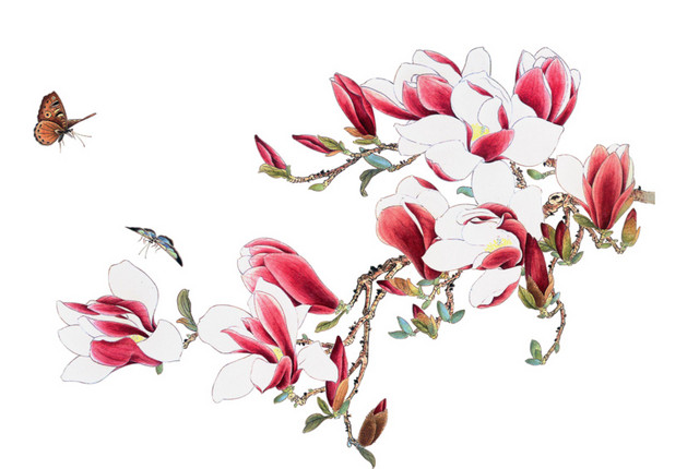 水墨蝴蝶和花
