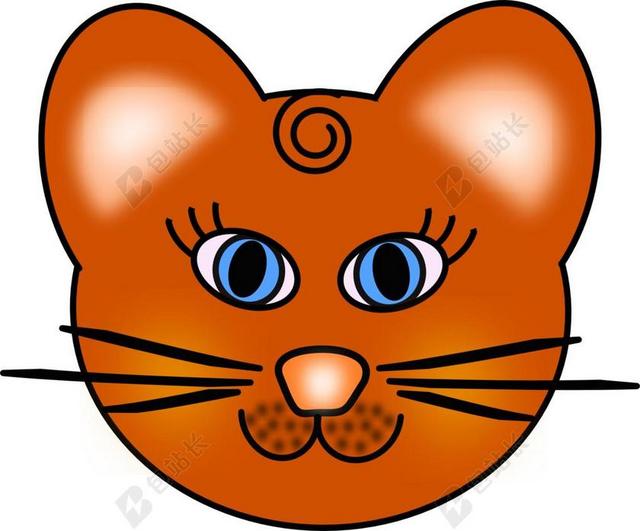 猫 头 脸 肖像 可爱 猫的 宠物 家养 小猫 基蒂